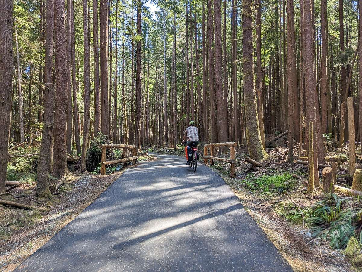 Pacific Rim National Park Bike Trail Tofino