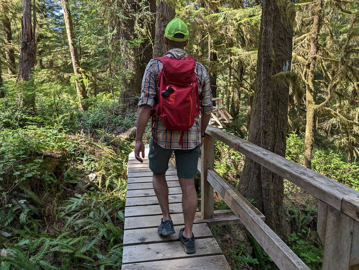 Pacific Rim National Park Rainforest Trail