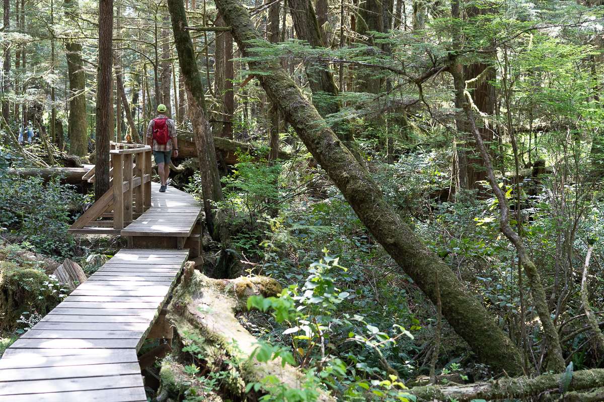 Rainforest Trail Pacific Rim National Park