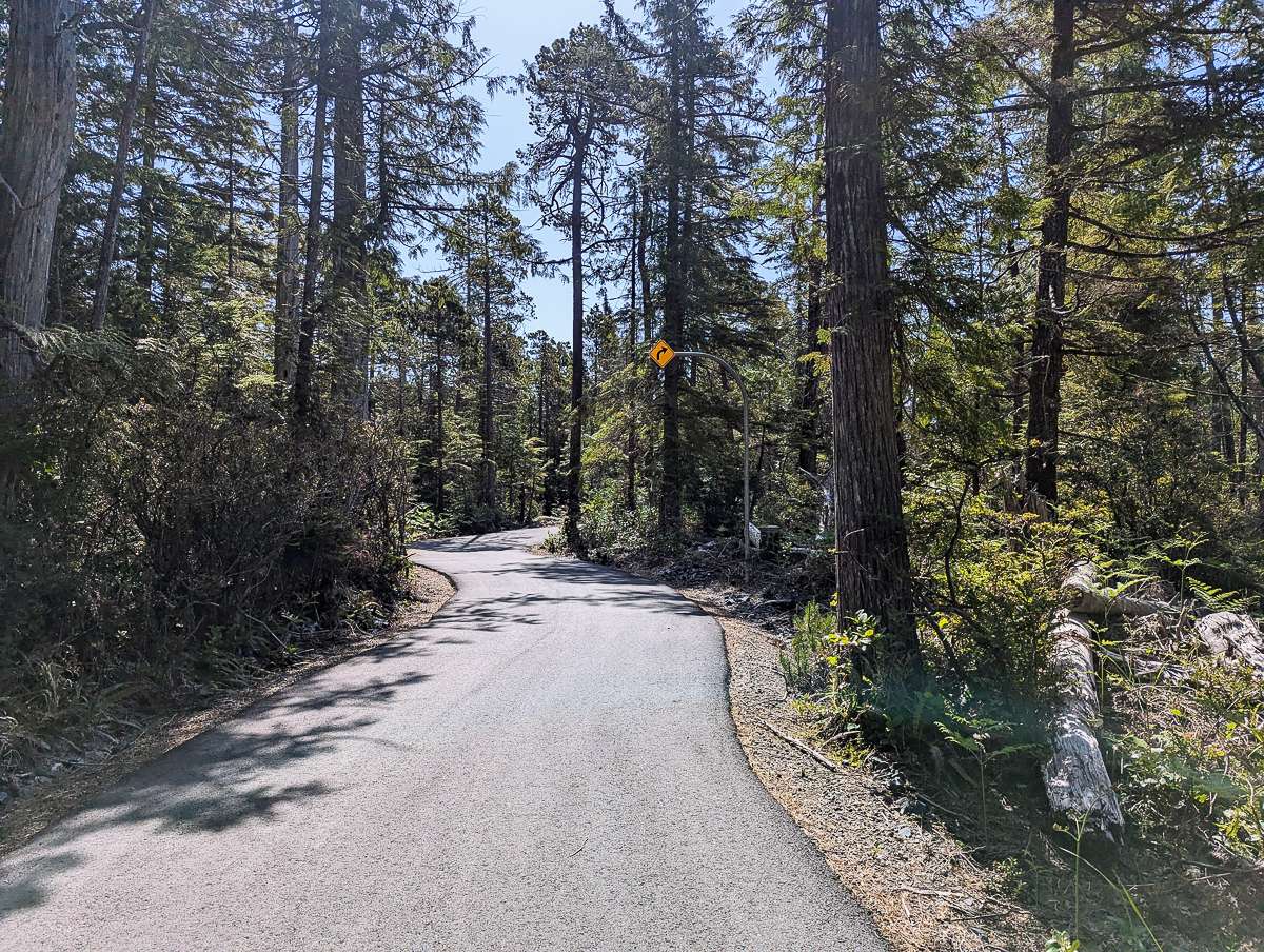 Pacific Rim ʔapsčiik t̓ašii Bike Trail
