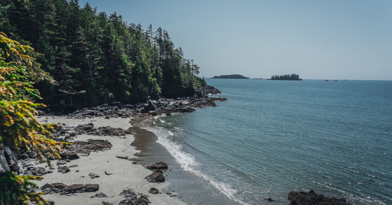 Tofino things to do slow and sustainable guide and itinerary