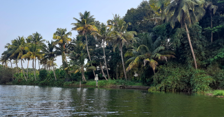how Responsible travel Kerala, India transforms communities and travel experiences