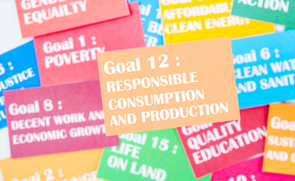 COP29 Thematic Day on Tourism and Climate Change Baku Azerbaijan 1