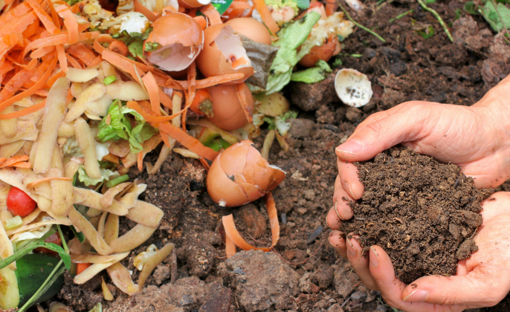 Reduce Food Waste