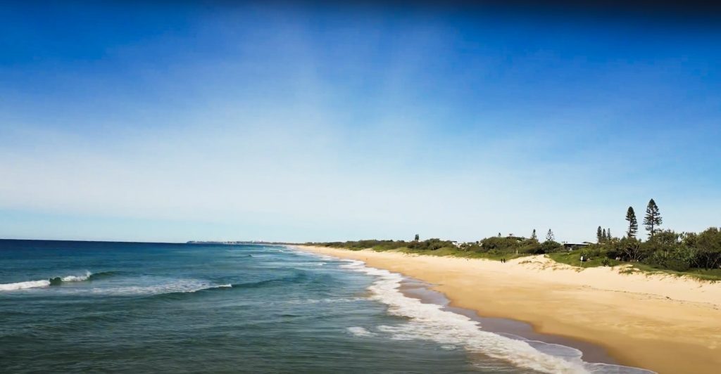 Noosa National Park Australia where to see Koalas in the wild
