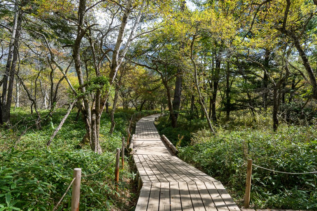 Senjōgahara Marshland Nikko National Park Japan