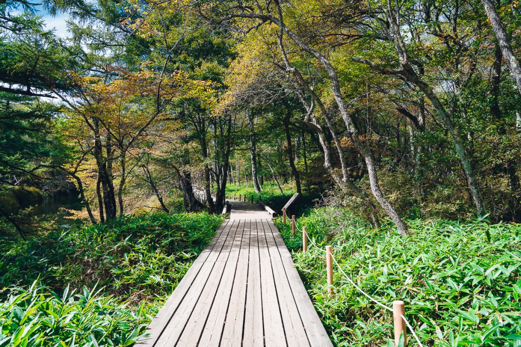Senjōgahara Marshland Nikko National Park Japan