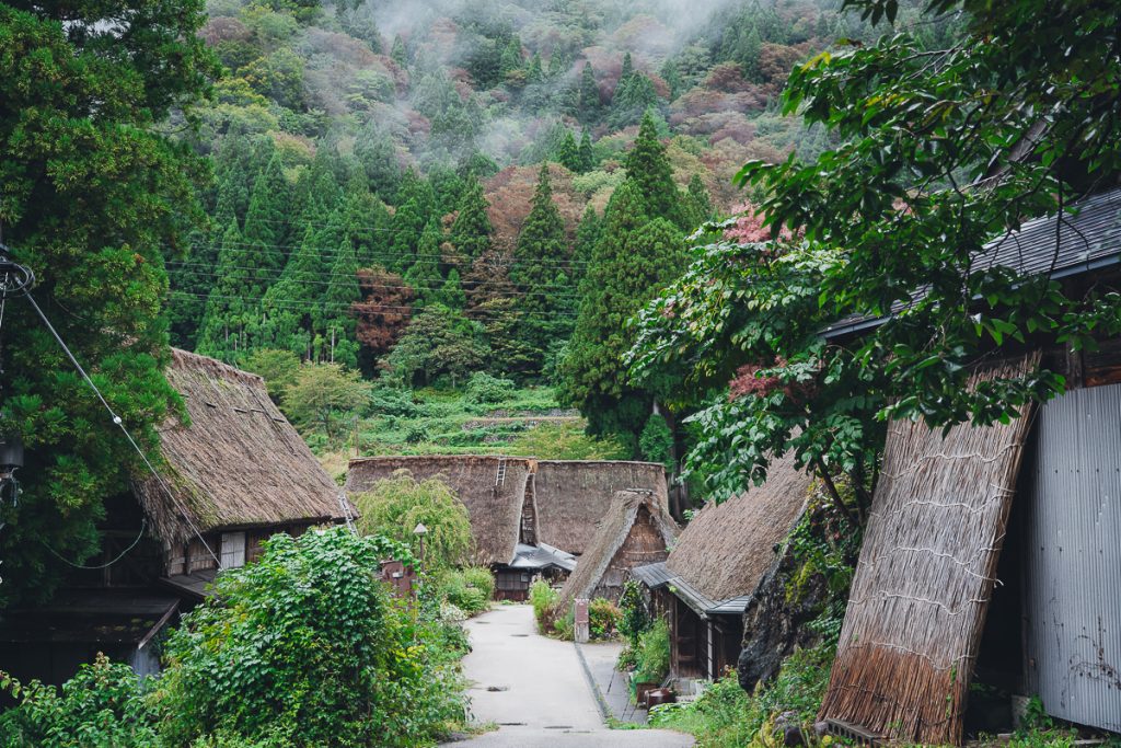 a photo of a traditional Japanese village with thatched roofs and lush green landscape 