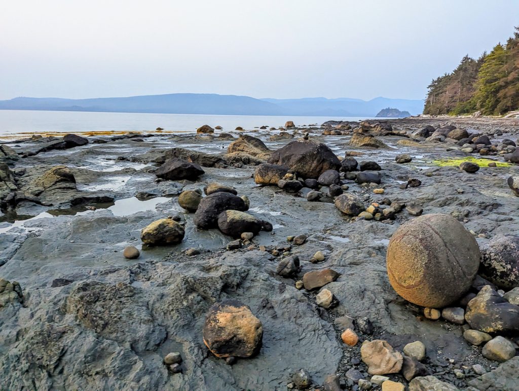 A rocky coastline with trees, water and mountains in the background.