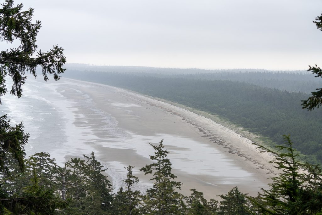 The view from a wooded area above a beach with low tide and backed by forests on an overcast day.