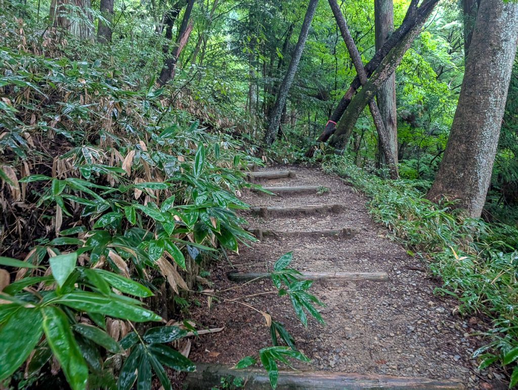 A dirt path with steps going through a green trail of leaves and trees.