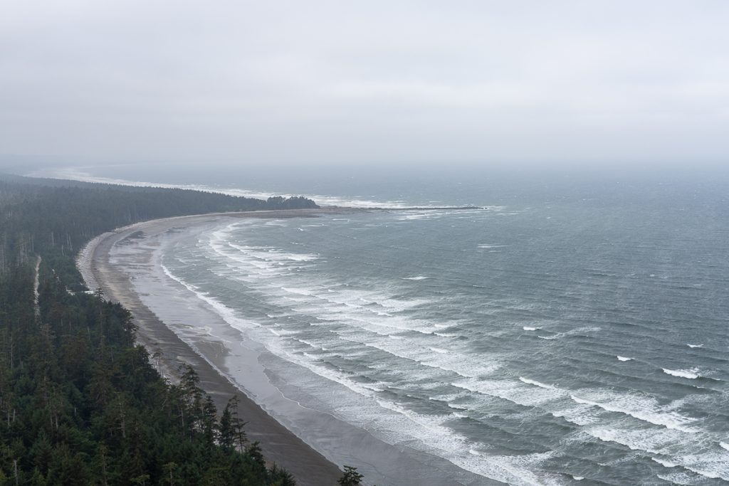 A stormy beach on an overcast day as seen from above, with trees behind the shore.