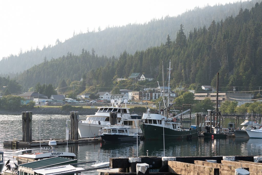 A small harbor with boats in the foreground, buildings behind and forested hills behind that.
