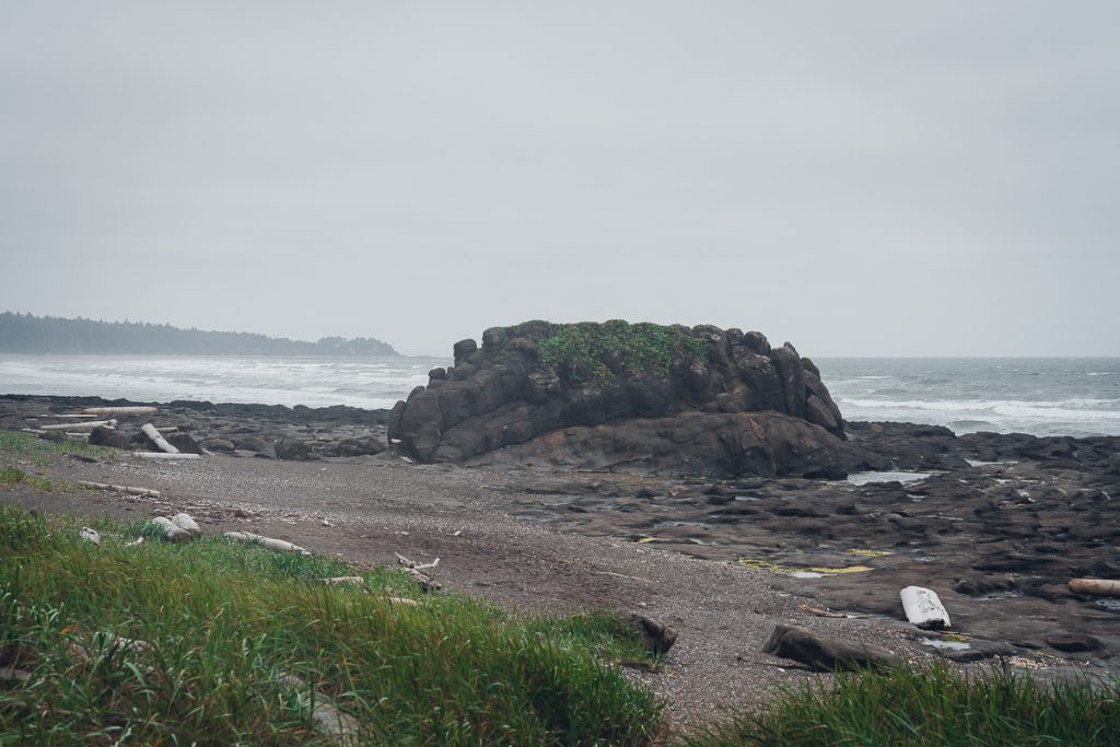 A rocky beach on an overcast day with bits of driftwood on the shore.