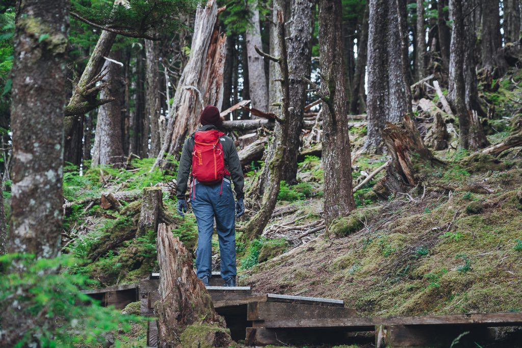 A person seen from behind walking through a forest while wearing gloves, a beanie and carrying a backpack.