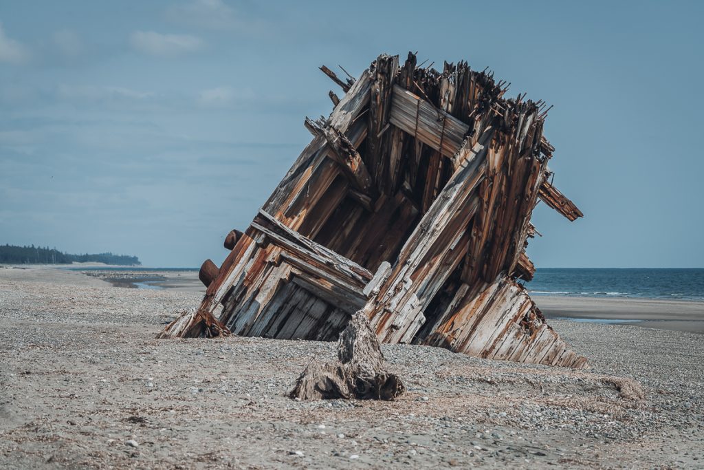 Part of a wrecked wooden ship poking out of a beach with forest in the far background.