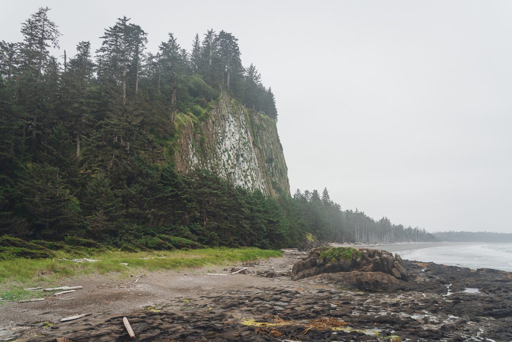 A rocky beach next to a steep cliff lined with pine trees on an overcast day.