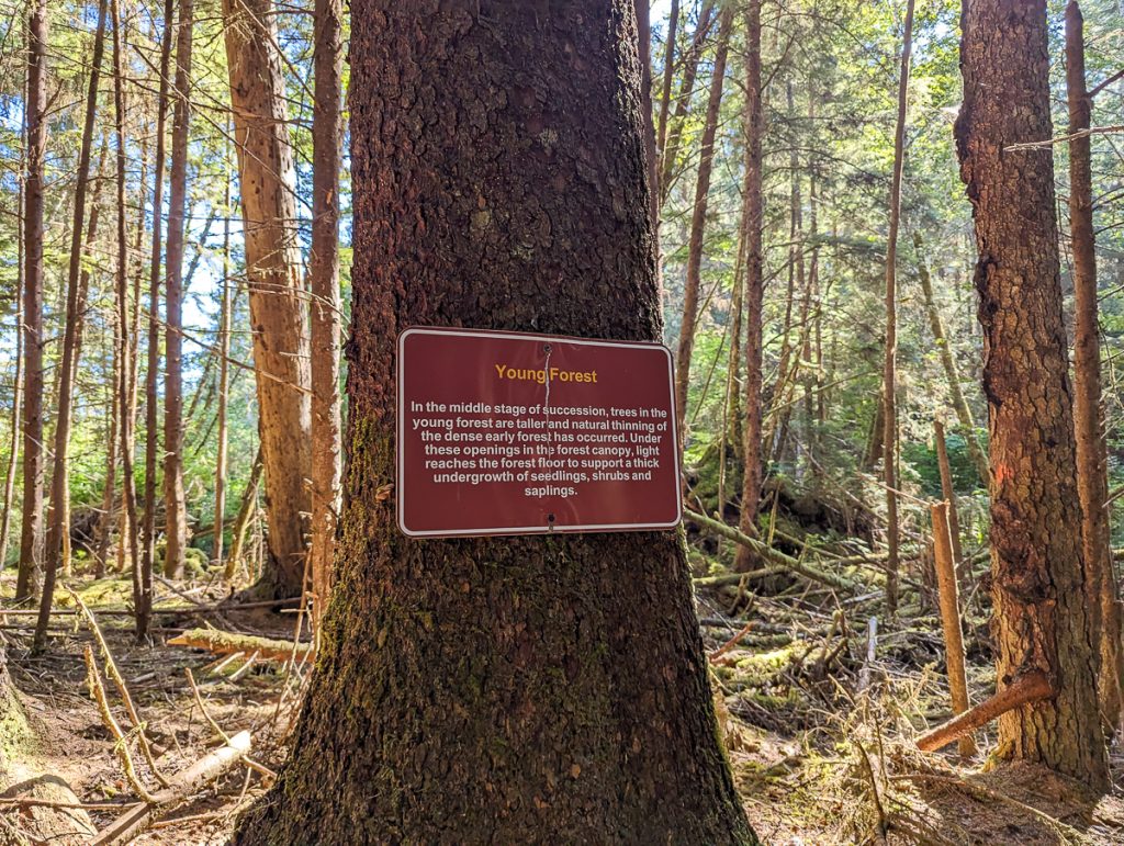 A sign on a tree trunk in a forest with information about the area of Young Forest.