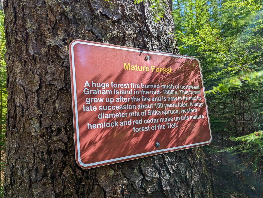 A close up of a sign on a tree trunk with information about the area of Mature Forest.