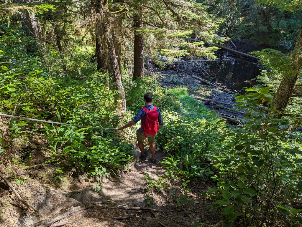 A person wearing a red backpack seen from behind walking down a dirt path surrounded by trees.