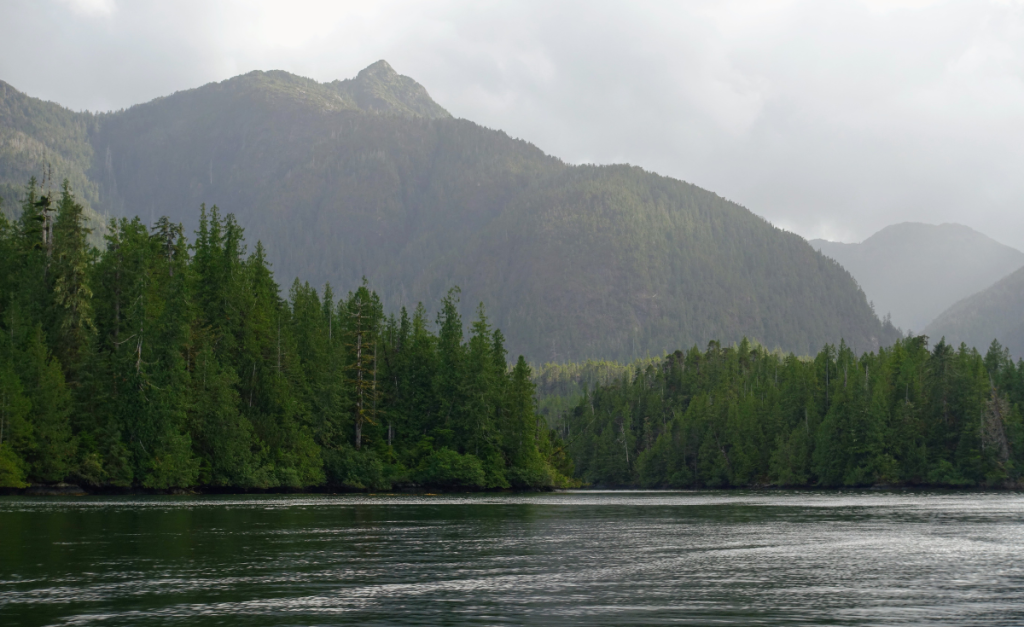A landscape photo showing water in the foreground, with pine trees and a mountain behind.
