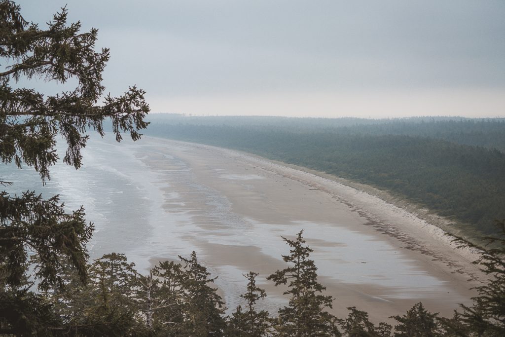 An aerial view of a long stretch of beach, called Rose Spit on Haida Gwaii.