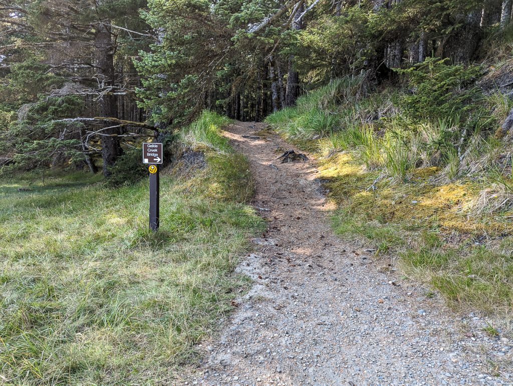 Pesuta Shipwreck Trail through the East Beach trail on Haida Gwaii. A trail leading into the forest. 