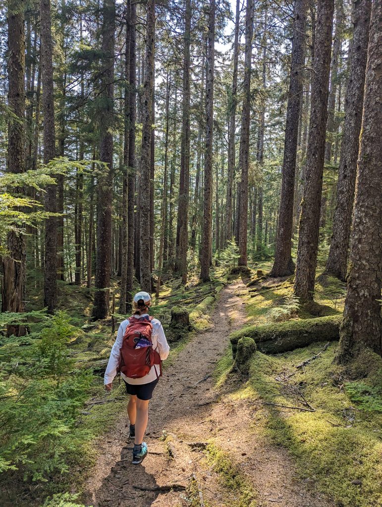 A woman in a white hiking shirt and red backpack hikes through the forest on the East Beach Trail in Haida Gwaii