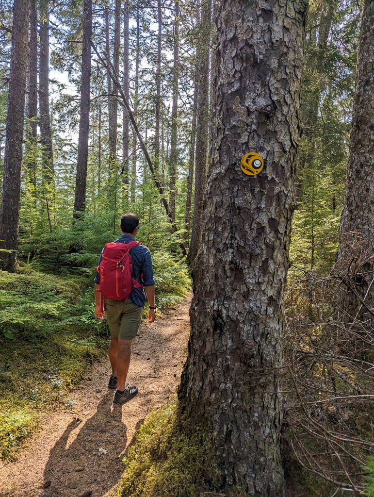 A man walks through the East Beach forest Trail with a red backpack. 