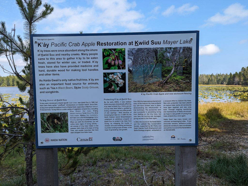 A big sign outdoors with information and pictures about Pacific Crab Apple Restoration and Kwiid Suu (Mayer Lake).