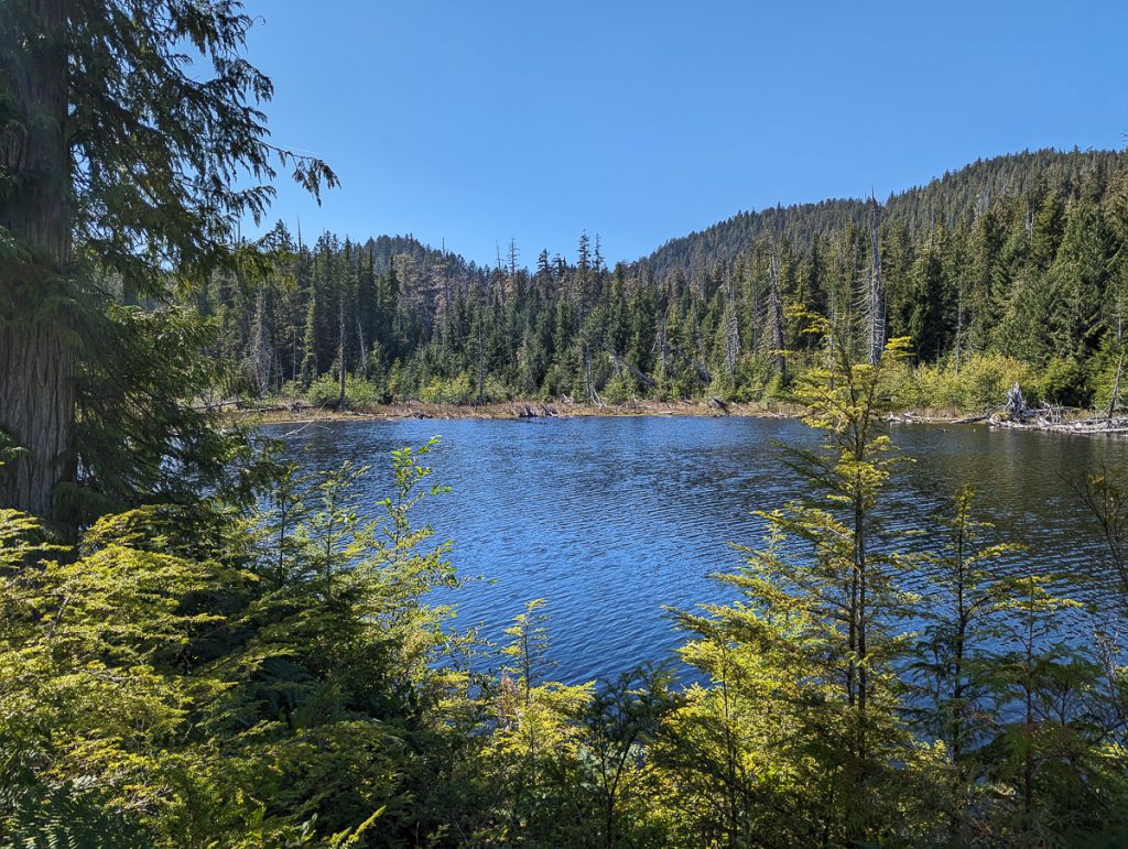 A dark blue lake surrounded by pine trees and a clear blue sky in the background.