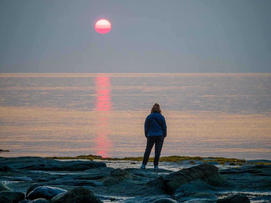 A person from behind standing on rocks next to ocean with a pink sun rising in the distance.
