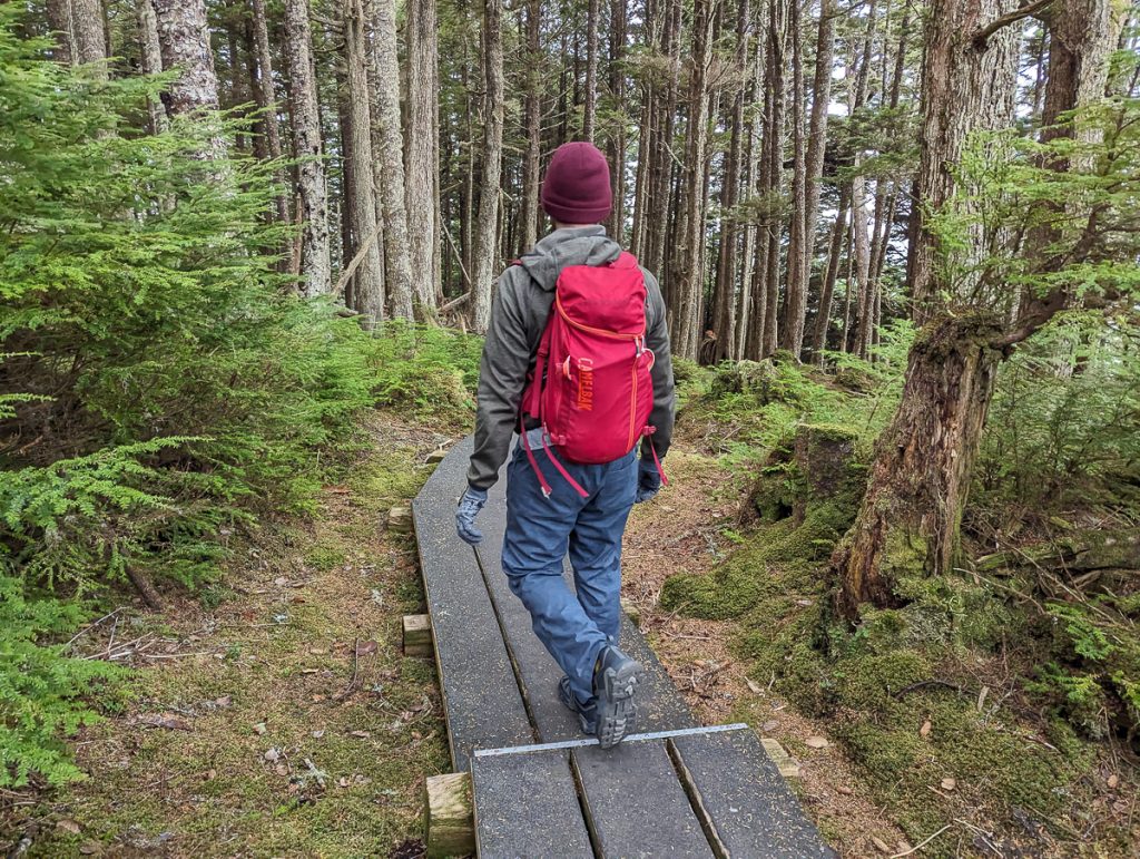 A person seen from behind walking on a raised platform through forest while wearing a red backpack.