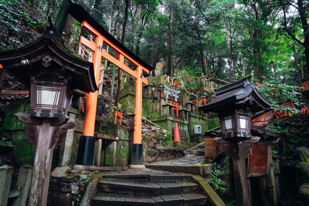 A series of Japanese shrine gates and wooden lamps alongside stony stairs in a forest.
