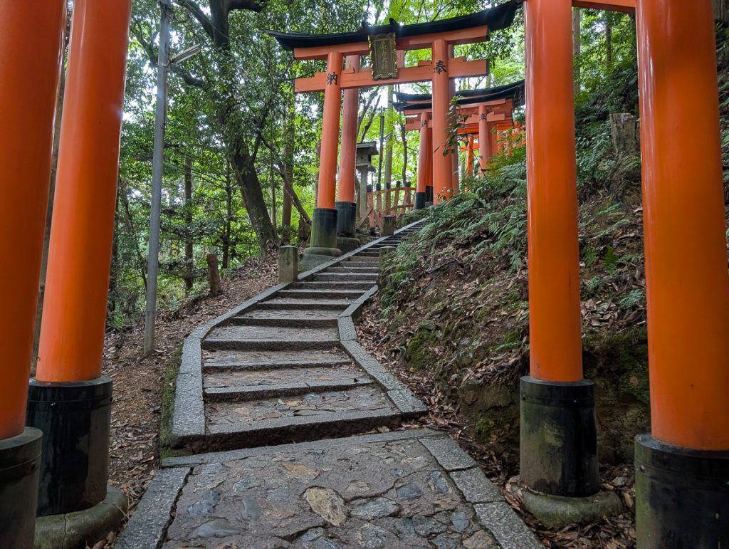 Red Japanese shrine gates leading up stairs in a forest.