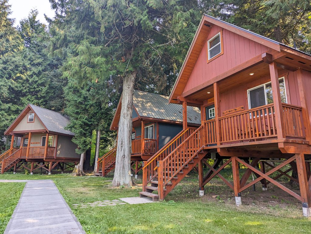 Three wooden cabins on stilts with stairs leading to a covered porch entrance, surrounded by pine trees.
