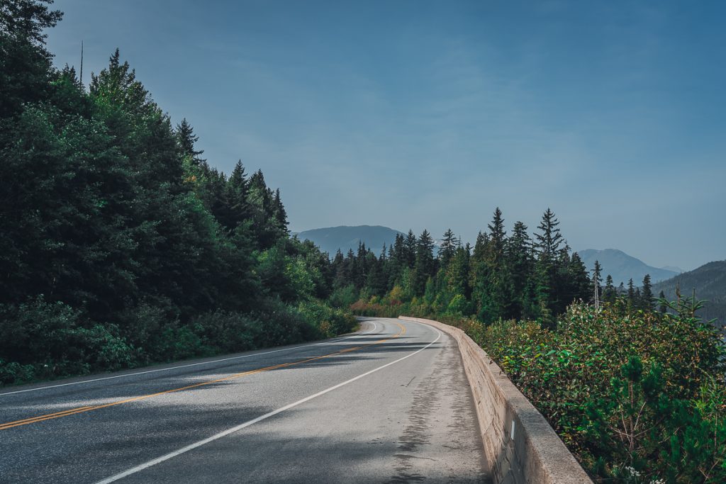 An empty highway curving into pine trees with blue skies above.