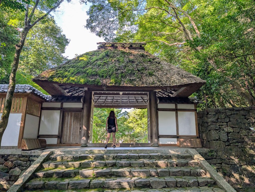 A woman standing under an open building with rocky steps leading to the building and green trees above the roof.