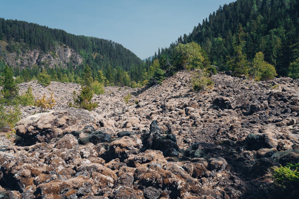 Moss-covered lava rocks in a valley with bushes and mountains covered in trees behind.