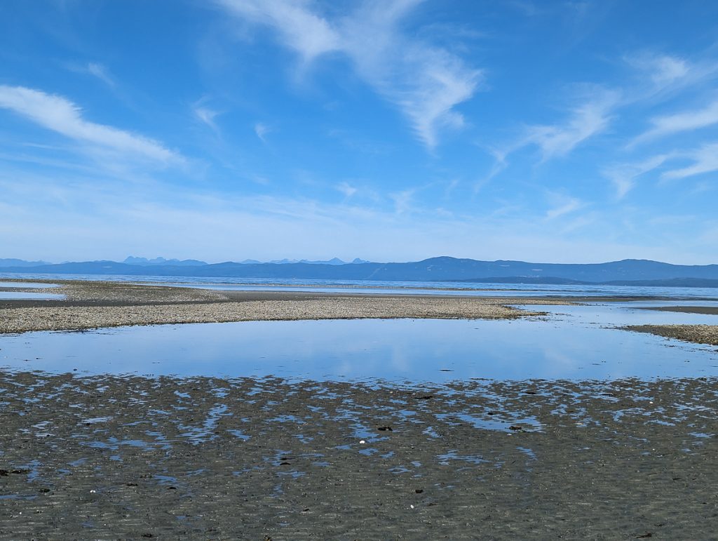 A wide mud-flat with water and mountains in the distance under a blue sky.