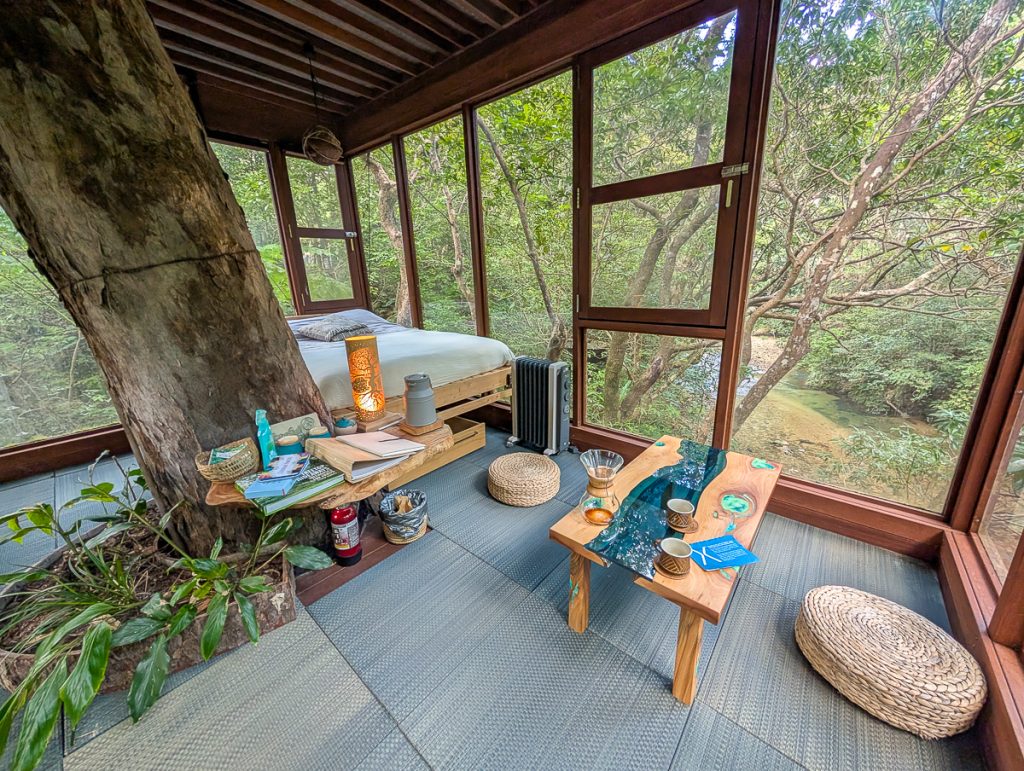 A table, cushions and day bed in a room with glass windows and a tree trunk in the middle and more trees outside.