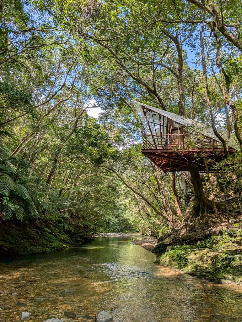 A glass roofed wooden tree house next to a stream and surrounded by trees.
