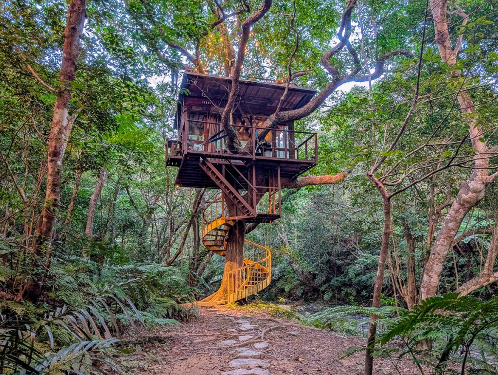 A square wooden treehouse in a big tree with a spiral staircase going around the trunk, surrounded by trees and greenery.