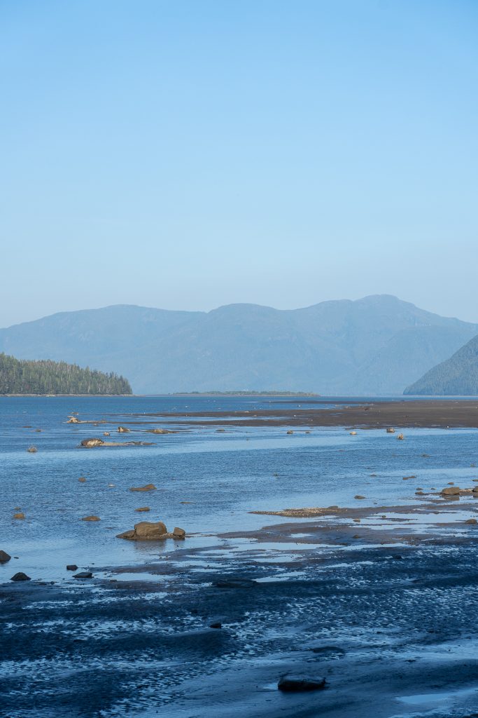 The shore of a body of water with mountains in the distance and a clear blue sky above.