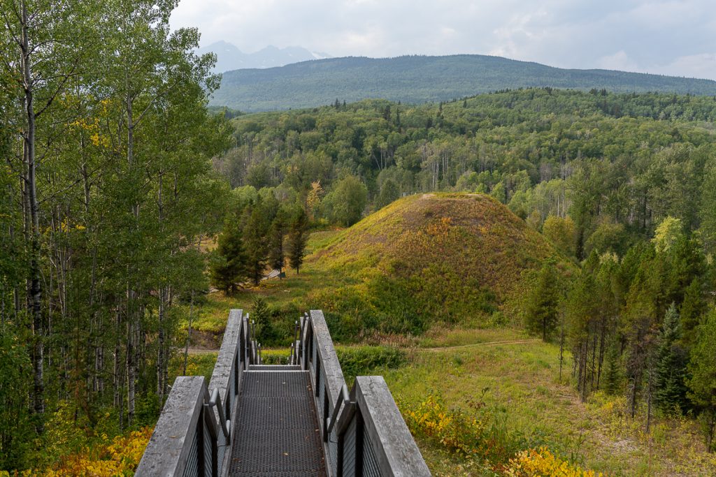 An elevated view over some wooden stairs leading down to a small hill, which is surrounded by trees and mountains in the background.