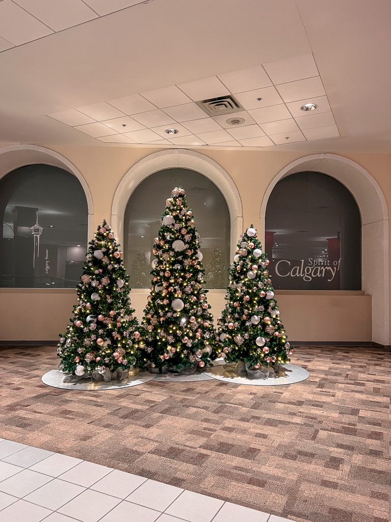 Calgary in Christmas