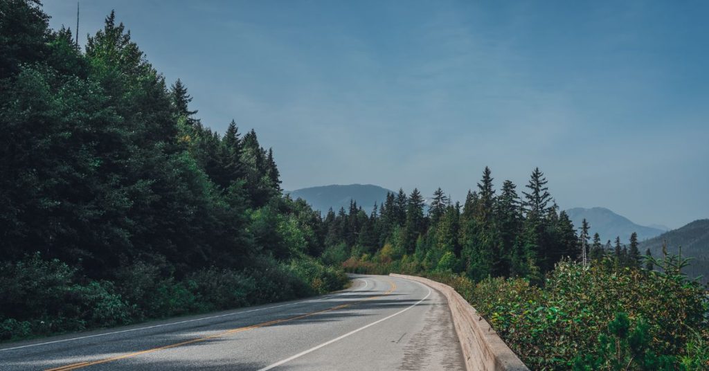 A curving highway with dark green trees and bushes on either side plus mountains and blue sky above.