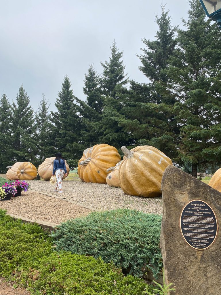 A group of giant pumpkins in a park with a woman walking next to them plus pine trees and a cloudy sky behind.