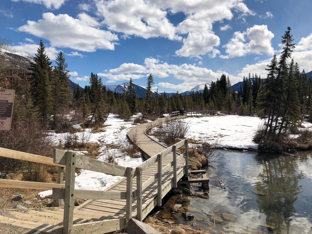 A landscape photo of a wooden walking path on a snowy landscape with trees and a blue sky with fluffy white sky in the background.