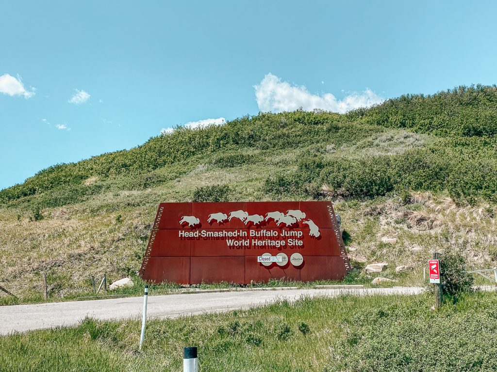 A brown sign showing buffalo running and falling off the words "Head-Smashed-In Buffalo Jump World Heritage Site." The sign is next to a road with grass in the foreground and a green hill and blue sky behind it.